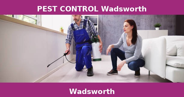 PEST CONTROL Wadsworth